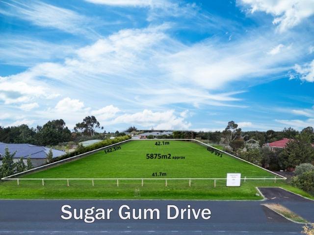 Land for sale in Camerons Creek, Victoria