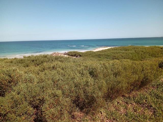 Land for sale in Cape St Francis, Eastern Cape