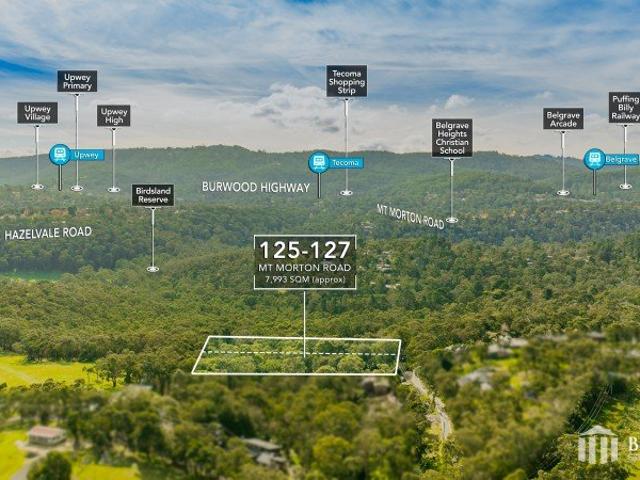 Land for sale in Camerons Creek, Victoria