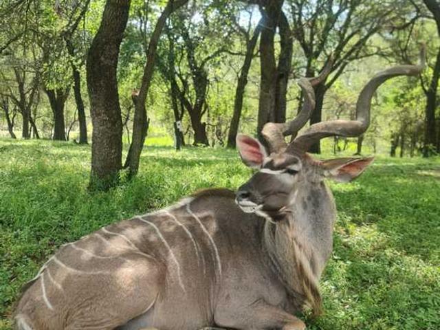 Land for sale in Thabazimbi, Limpopo