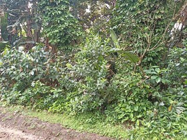 Land for sale in Ugu District Municipality, Kwazulu-natal