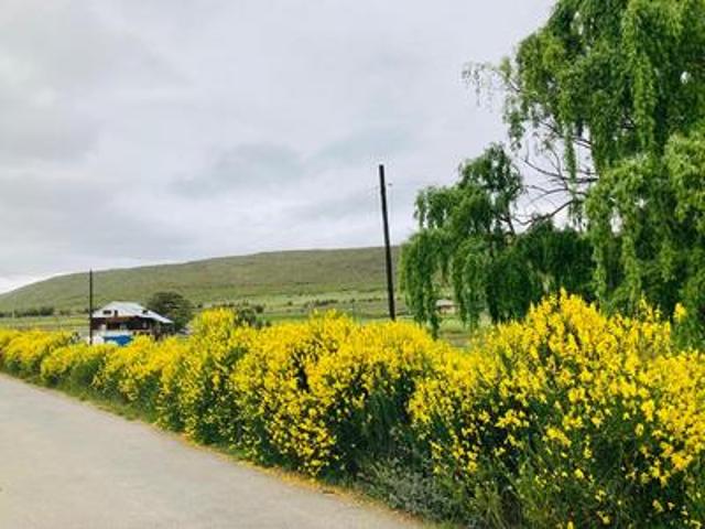Land for sale in Joubertina, Eastern Cape
