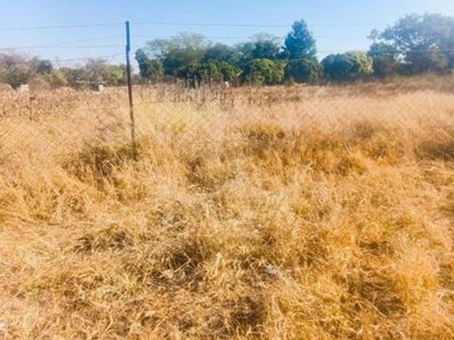 Land for sale in Dendron, Limpopo