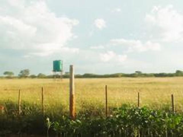 Land for sale in Vhembe, Limpopo