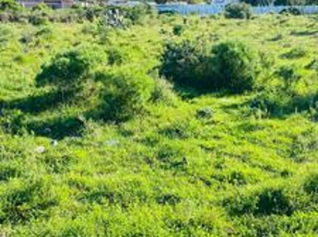 Land for sale in Colchester, Eastern Cape