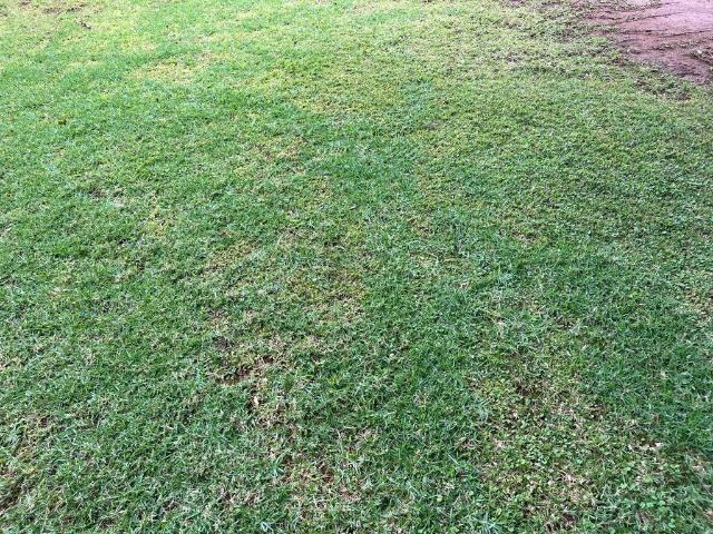 Land for sale in Dr Kenneth Kaunda, North West