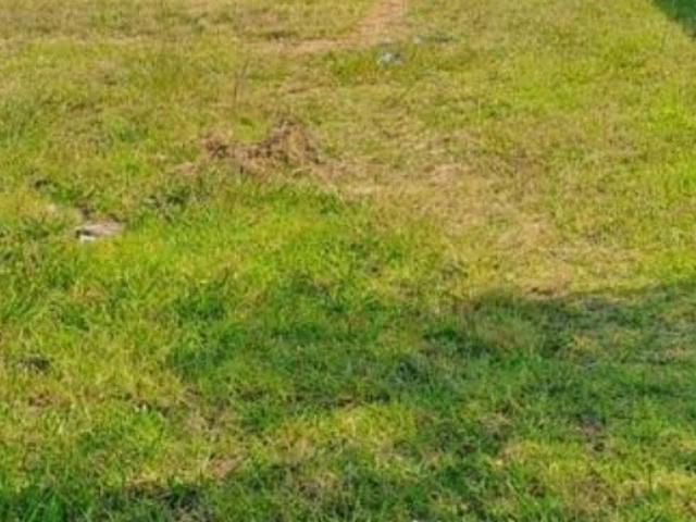 Land for sale in Pullens Hope, Mpumalanga