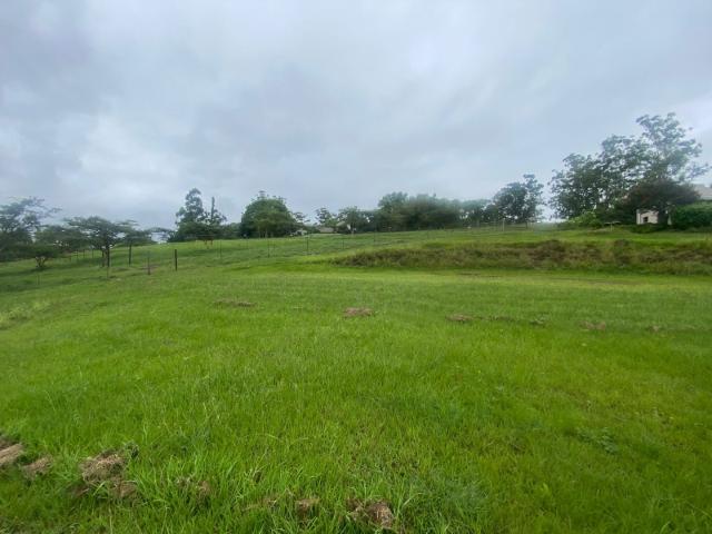 Land for sale in Umgungundlovu, Kwazulu-natal