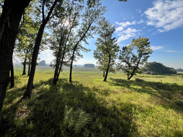 Land for sale in Midvaal, Gauteng