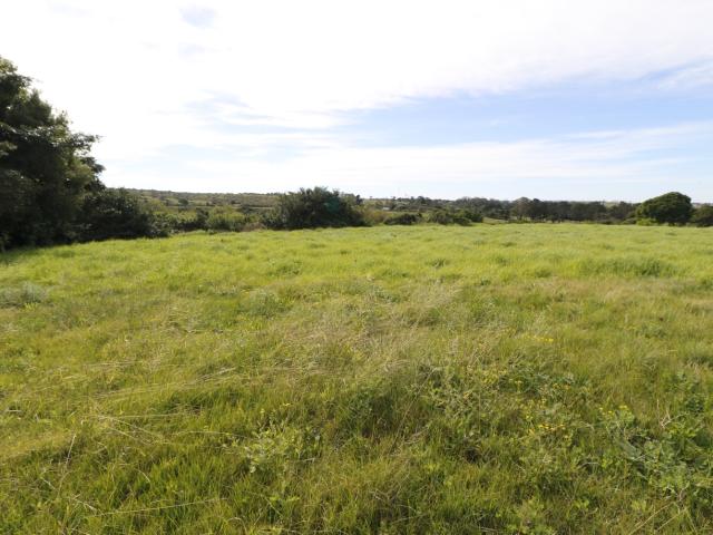 Land for sale in Eastern Cape