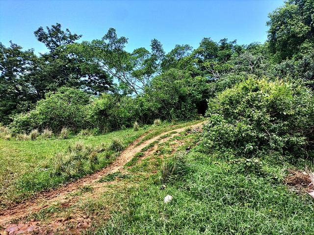 Land for sale in Kingsburgh, Kwazulu-natal