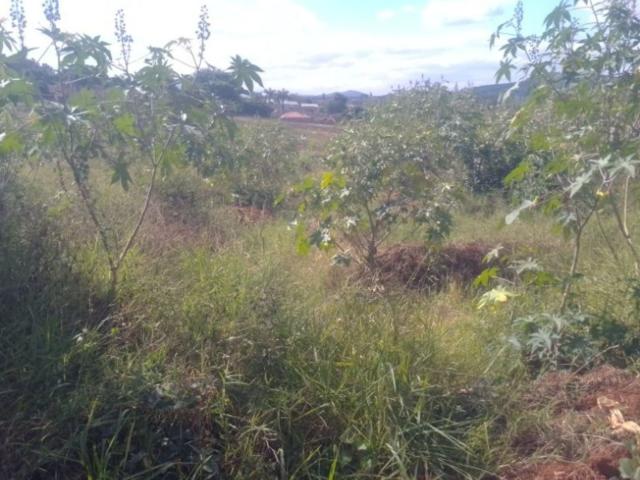 Land for sale in Mopani, Limpopo
