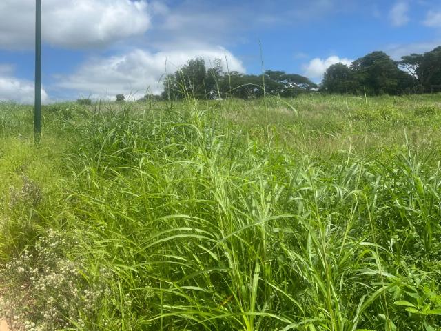 Land for sale in Mopani, Limpopo