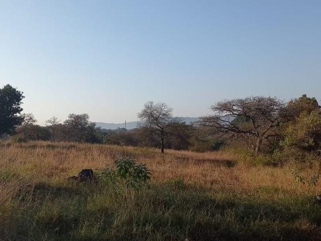 Land for sale in Mopani, Limpopo