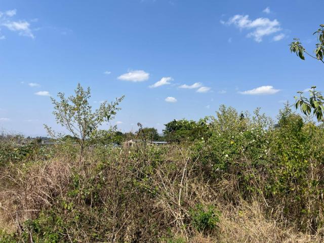 Land for sale in Mopani, Limpopo