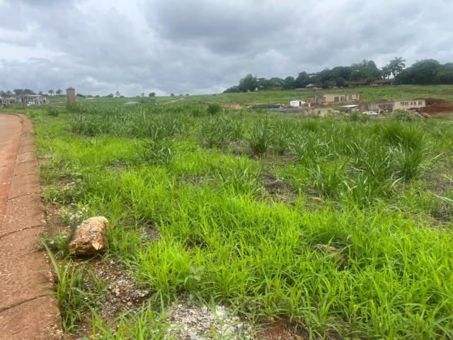Land for sale in Mopani, Limpopo