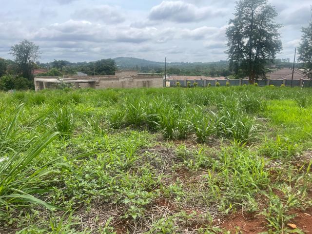 Land for sale in Mopani, Limpopo