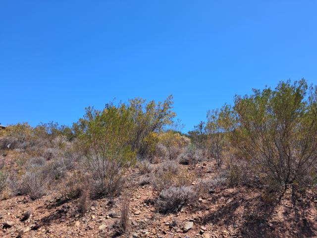 Land for sale in Ashton, Western Cape