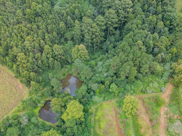 Land for sale in Drummond, Kwazulu-natal