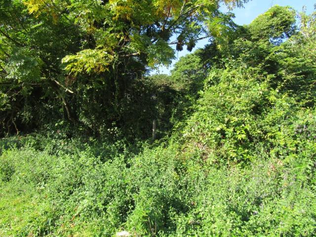 Land for sale in Isipingo, Kwazulu-natal