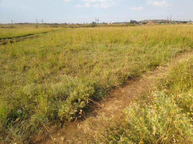 Land for sale in Gert Sibande, Mpumalanga