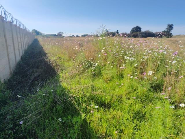 Land for sale in Gert Sibande, Mpumalanga