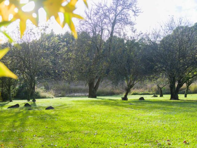 Land for sale in Umgungundlovu, Kwazulu-natal
