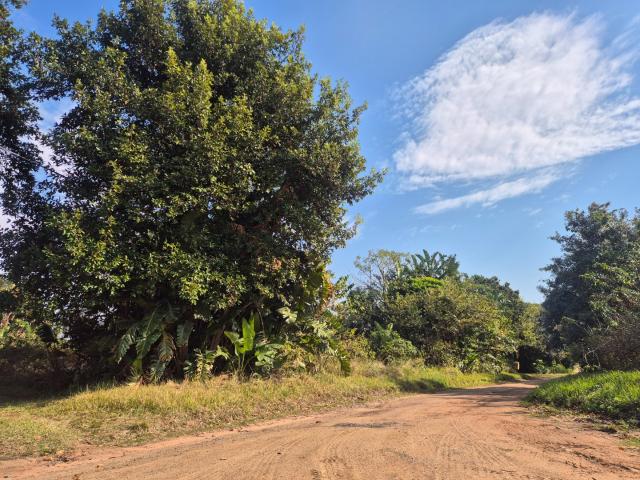 Land for sale in Ugu District Municipality, Kwazulu-natal