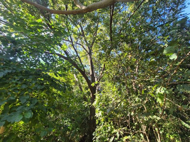 Land for sale in Ugu District Municipality, Kwazulu-natal