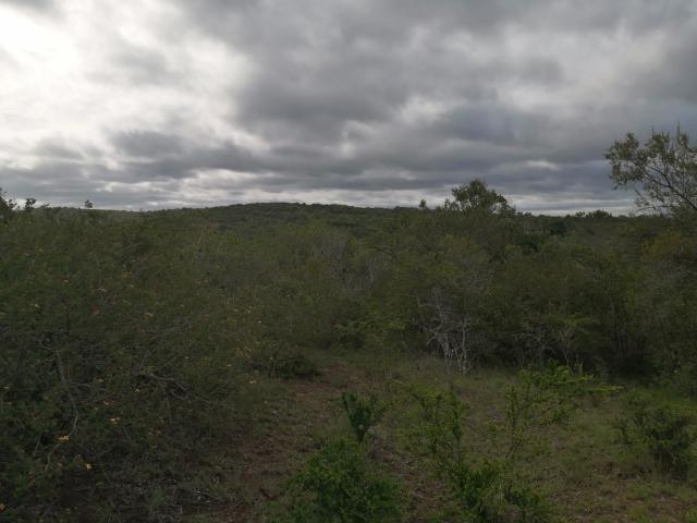 Land for sale in Bushmans River Mouth, Eastern Cape