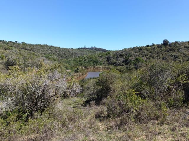 Land for sale in Bushmans River Mouth, Eastern Cape