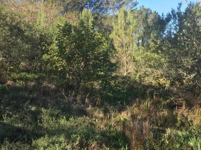 Land for sale in Bushmans River Mouth, Eastern Cape