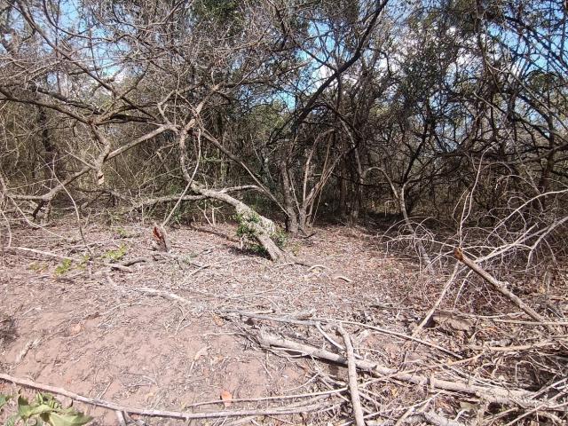 Land for sale in Bushmans River Mouth, Eastern Cape