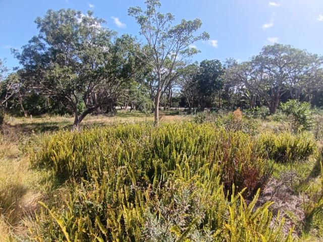 Land for sale in Bushmans River Mouth, Eastern Cape