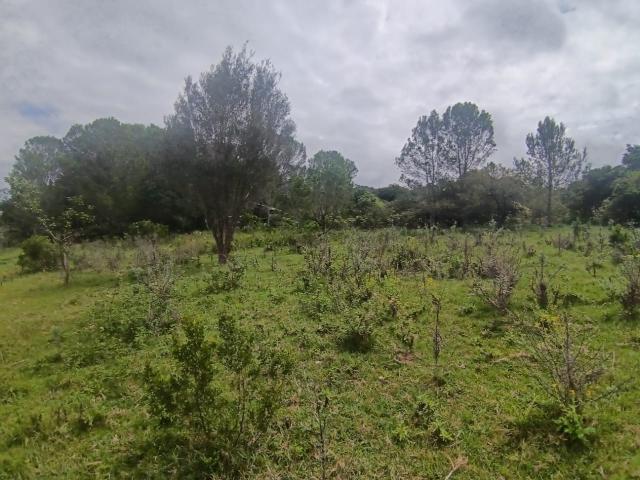Land for sale in Bushmans River Mouth, Eastern Cape