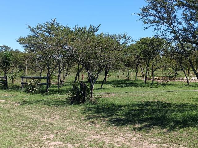 Land for sale in Bushmans River Mouth, Eastern Cape