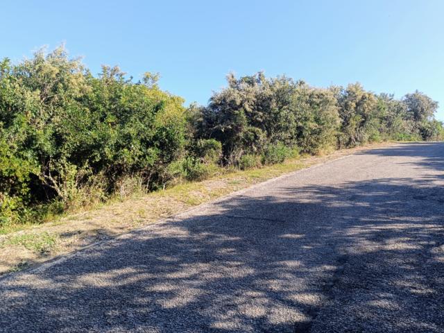 Land for sale in Amathole District Municipality, Eastern Cape