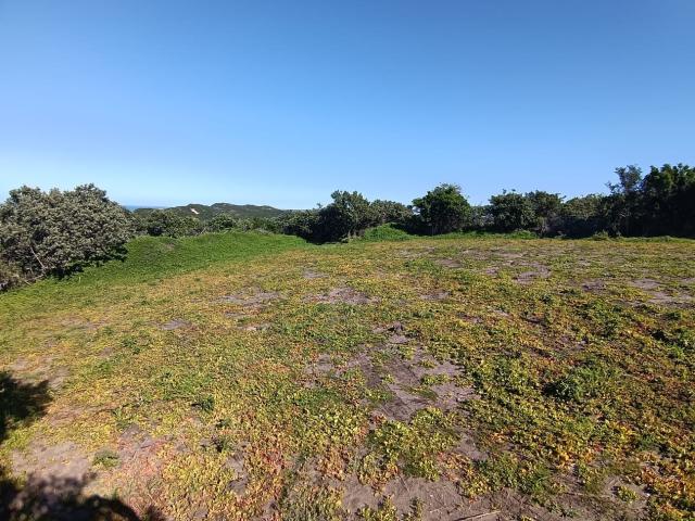 Land for sale in Amathole District Municipality, Eastern Cape