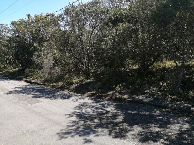 Land for sale in Amathole District Municipality, Eastern Cape