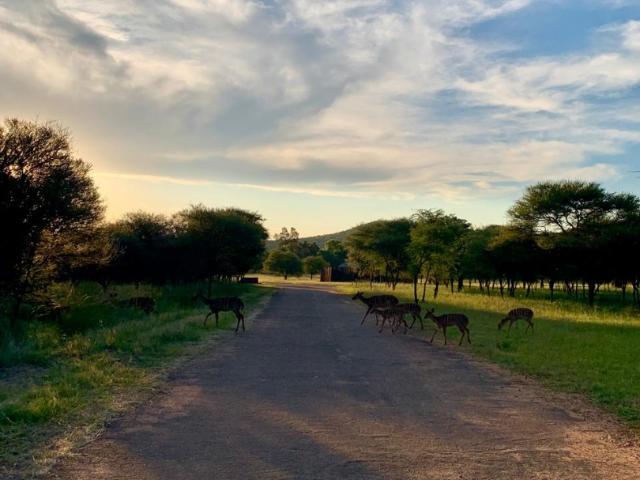 Land for sale in Belabela, Limpopo