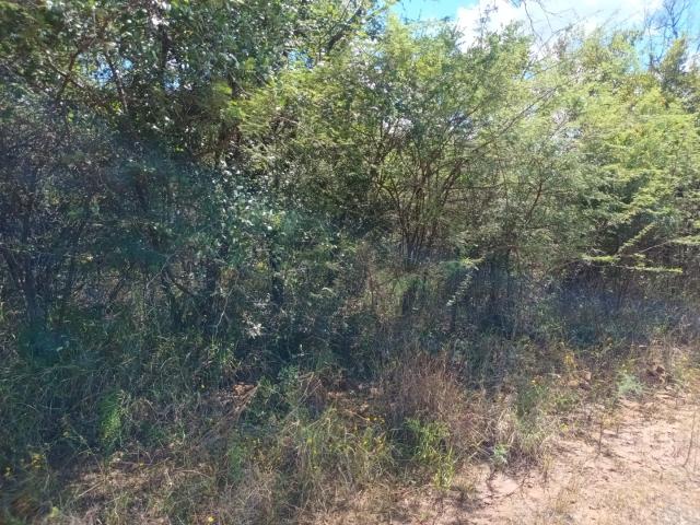 Land for sale in Belabela, Limpopo
