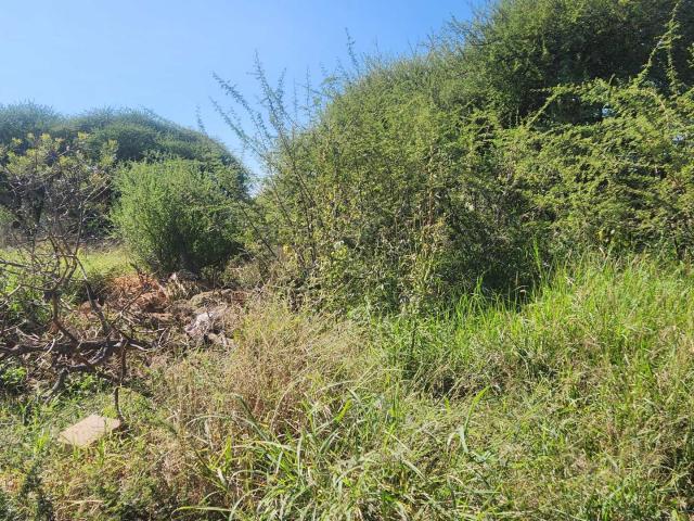 Land for sale in Seshego, Limpopo
