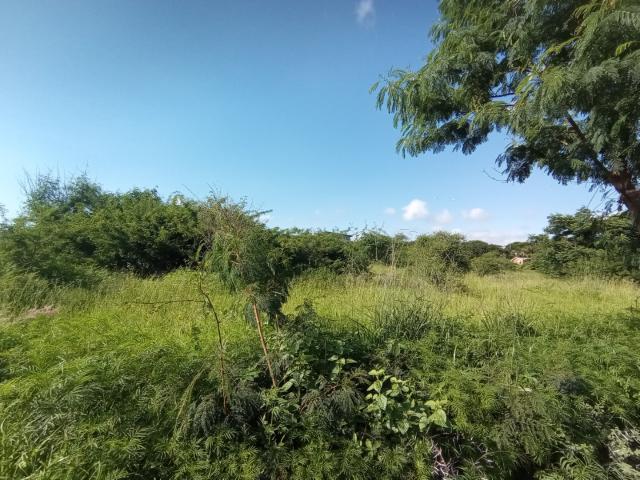 Land for sale in Seshego, Limpopo