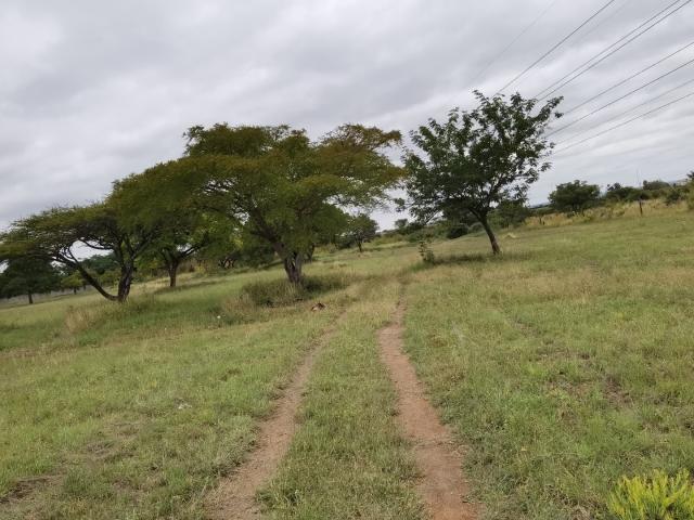 Land for sale in Seshego, Limpopo