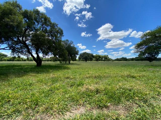 Land for sale in Seshego, Limpopo