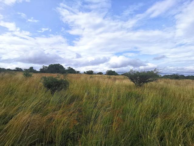 Land for sale in Seshego, Limpopo
