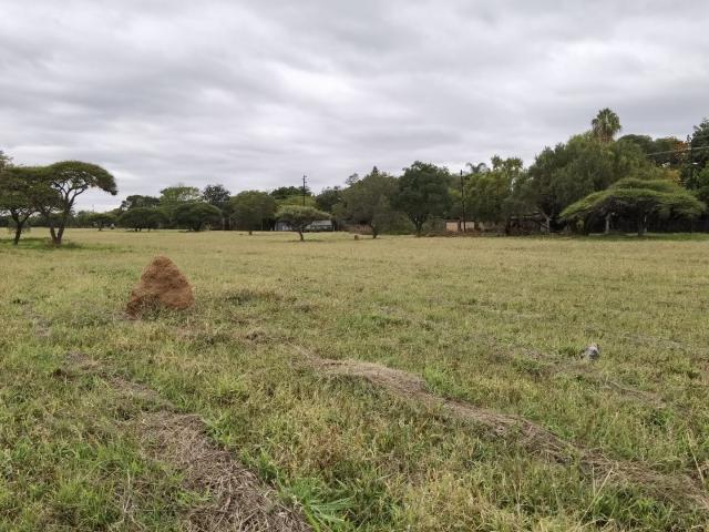 Land for sale in Seshego, Limpopo