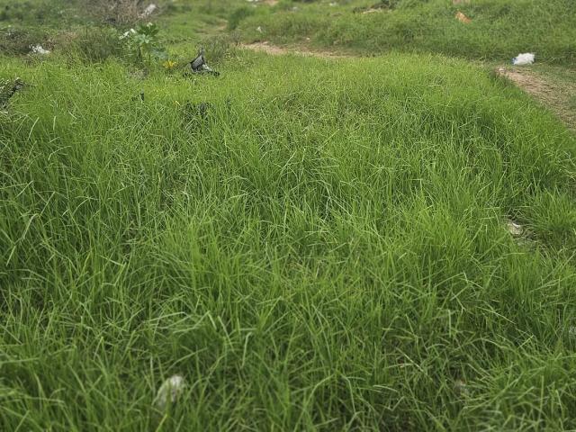 Land for sale in Bethelsdorp, Eastern Cape