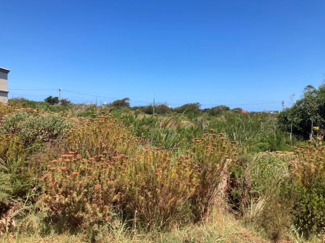 Land for sale in Baardskeerdersbos, Western Cape
