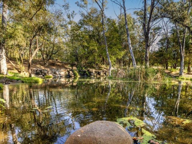 Land for sale in Knopjeslaagte, Gauteng